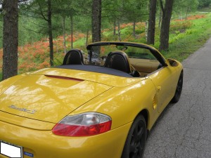 美ヶ原のレンゲツツジ①