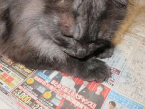ショコラ新聞を読むその１