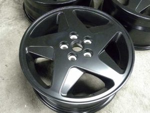 ﾌｪﾗｰﾘﾓﾝﾃﾞｨｱﾙ pict-3-粉体塗装