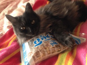 腹減ったｼｮｺ03