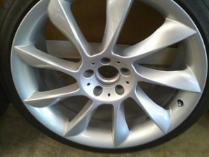 ﾛﾘﾝｻﾞｰﾚﾌﾟﾘｶﾚｽﾄｱ pict-1-before