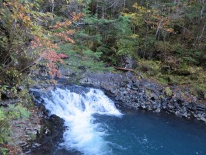 信州の秋pict-IMG_0044