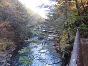 信州の秋pict-IMG_0055