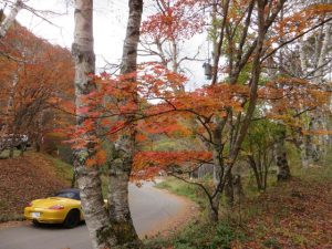 蓼科高原 pict-img_1446